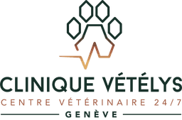 Clinique Vetelys