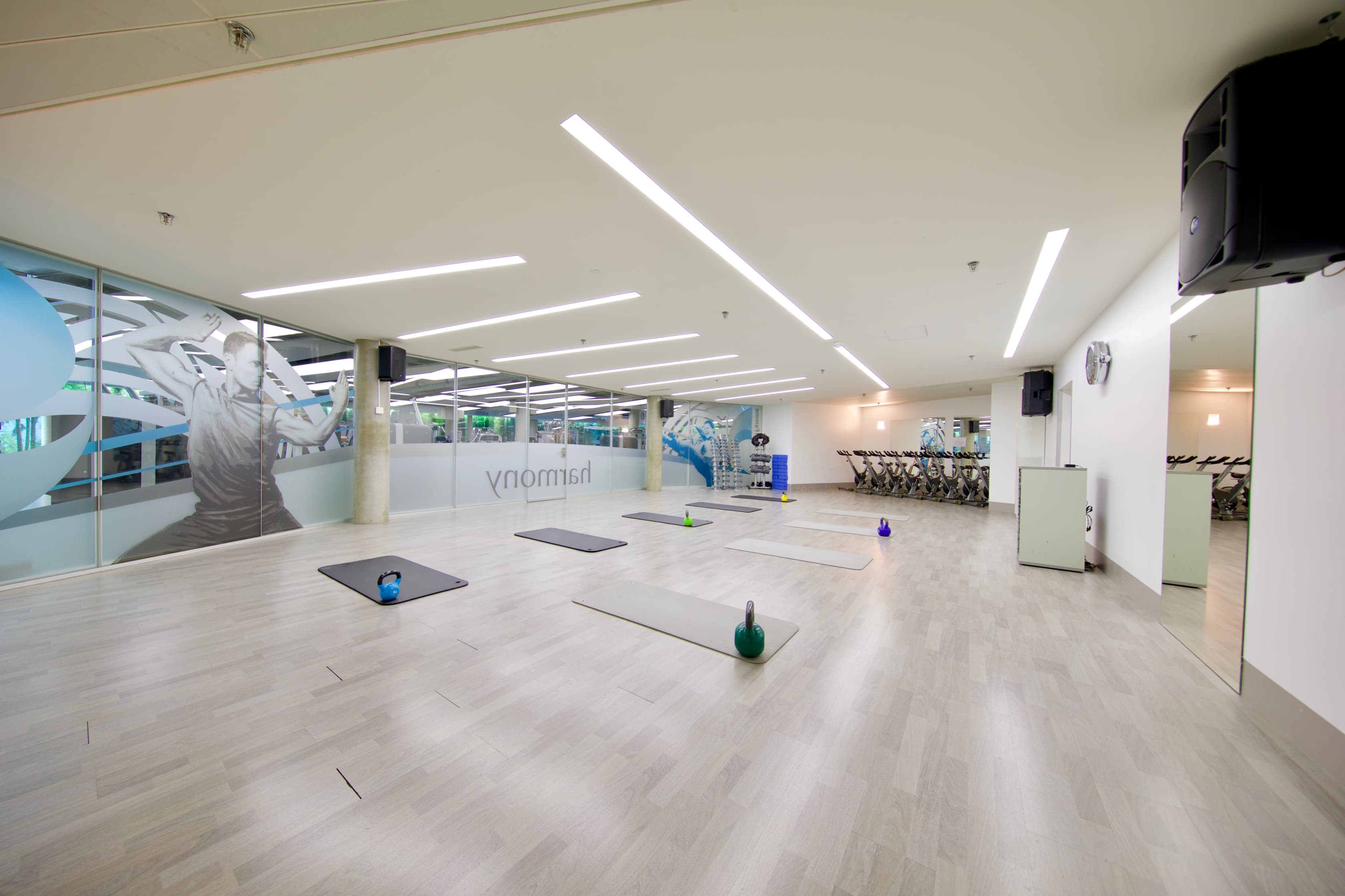 Group fitness or wellness activity