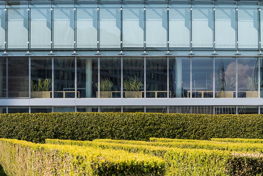 Walking path through landscaped grounds